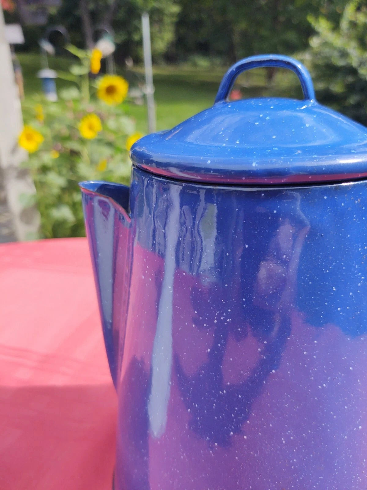 Blue Speckled Enamel Farmhouse Tea Pot