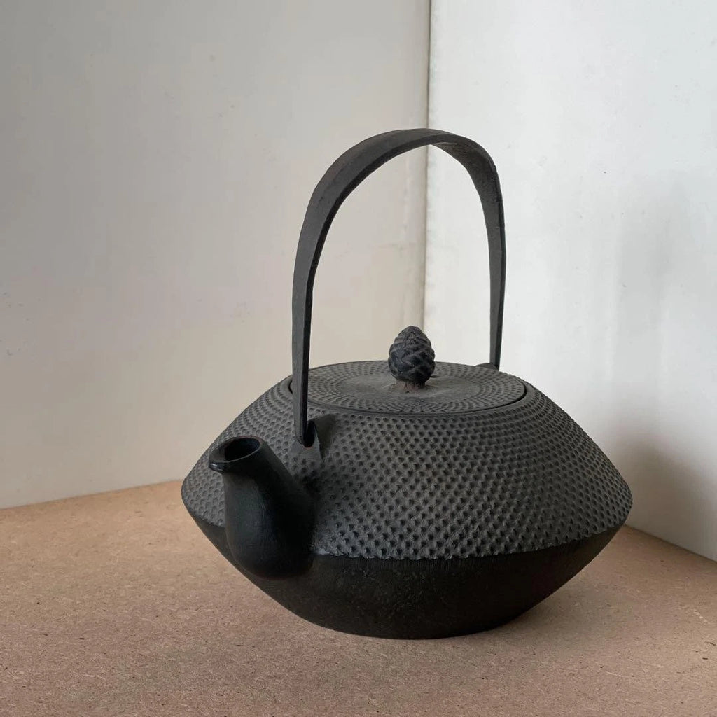 Nanbu Ironware Casting Artist Iwashimizu Hisao Iron Teapot Inner Enamel Finish