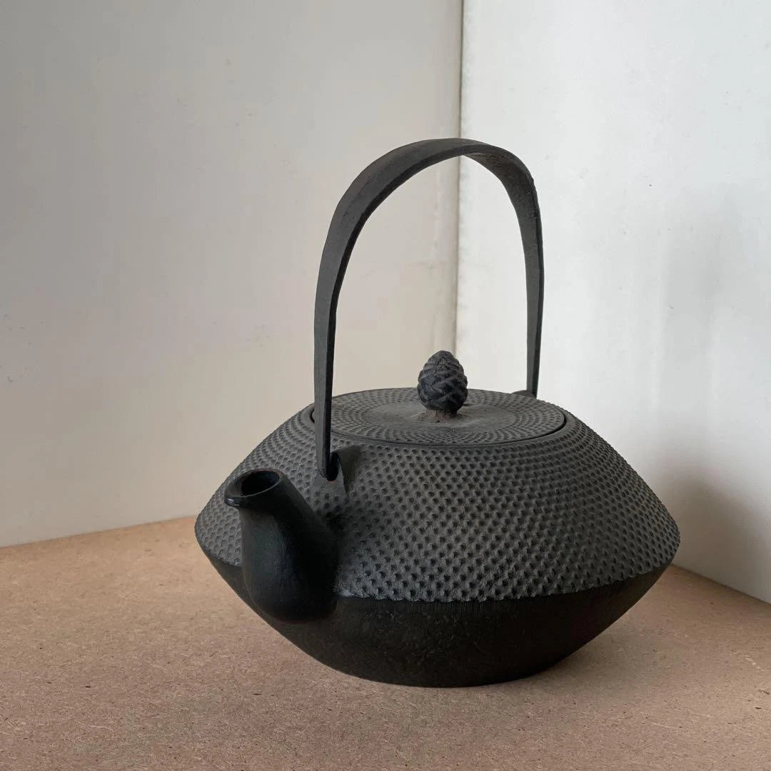 Nanbu Ironware Casting Artist Iwashimizu Hisao Iron Teapot Inner Enamel Finish