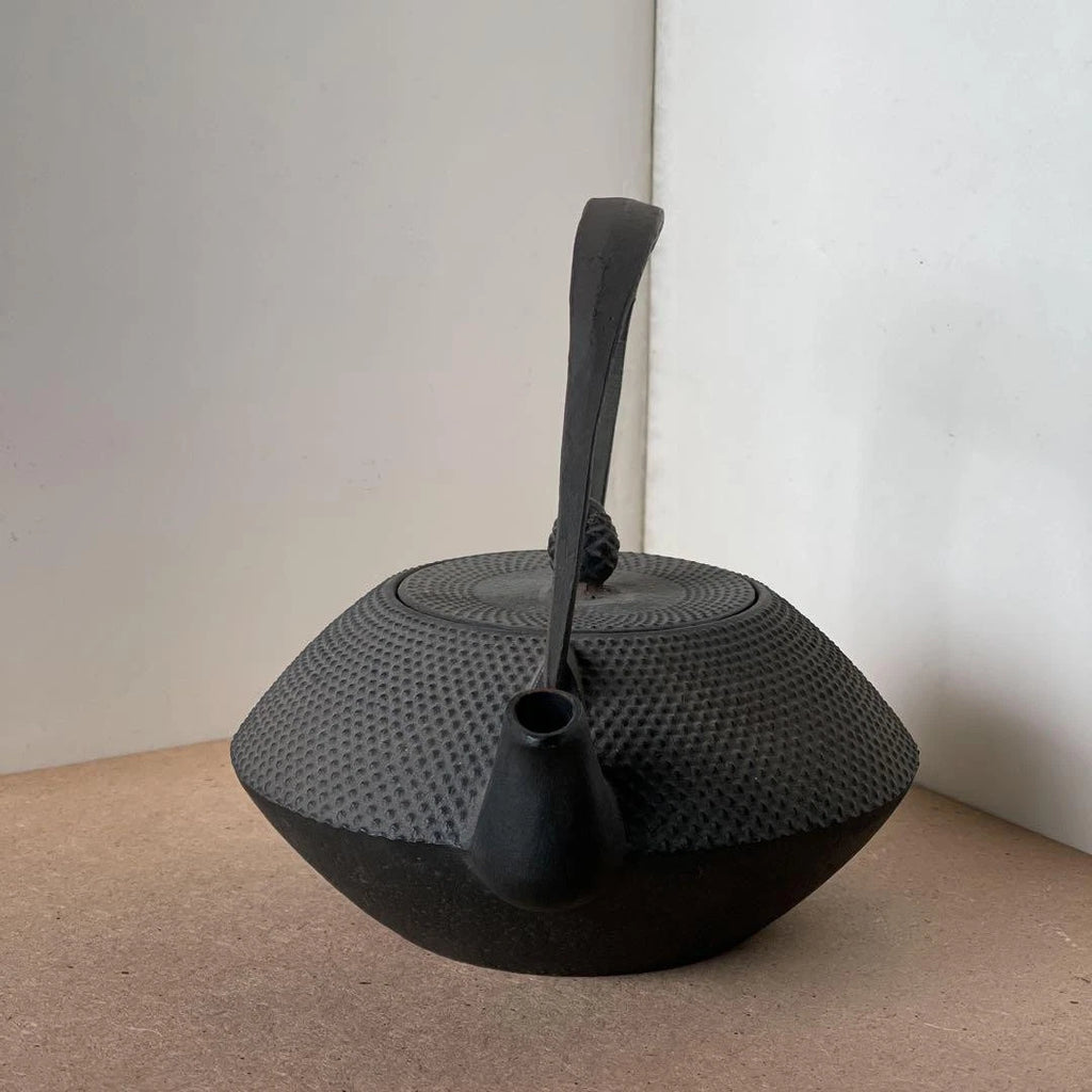 Nanbu Ironware Casting Artist Iwashimizu Hisao Iron Teapot Inner Enamel Finish