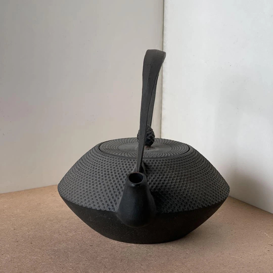 Nanbu Ironware Casting Artist Iwashimizu Hisao Iron Teapot Inner Enamel Finish