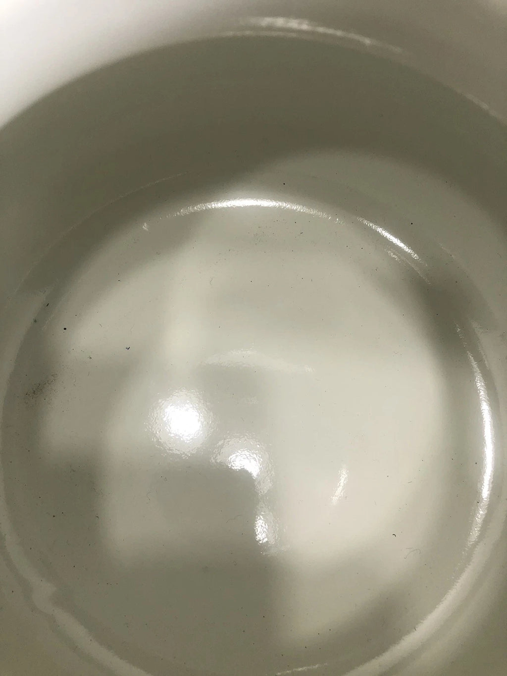 Pioneer Woman ~ Breezy Blossom ~ 1.9-Quart Tea Kettle ~ Enamel on Steel ~ Floral