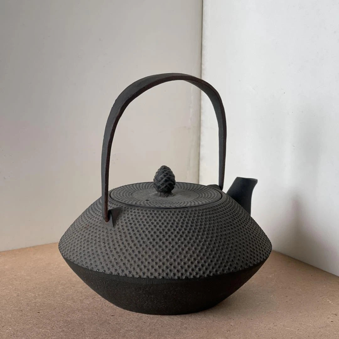 Nanbu Ironware Casting Artist Iwashimizu Hisao Iron Teapot Inner Enamel Finish