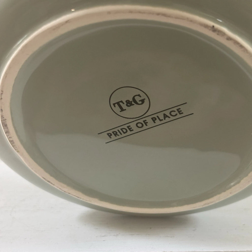 T&G Pride of Place British Design Light Green Teapot NWT