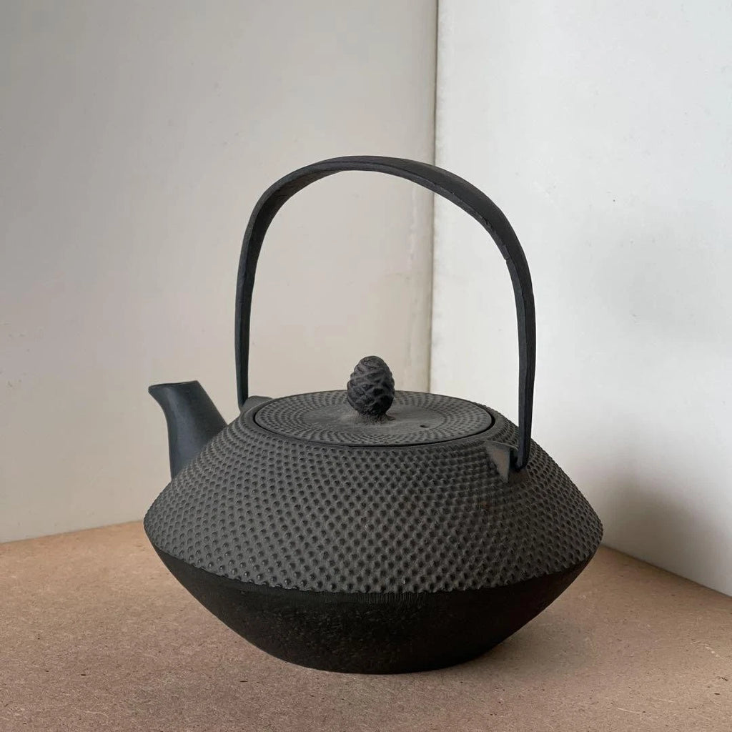 Nanbu Ironware Casting Artist Iwashimizu Hisao Iron Teapot Inner Enamel Finish