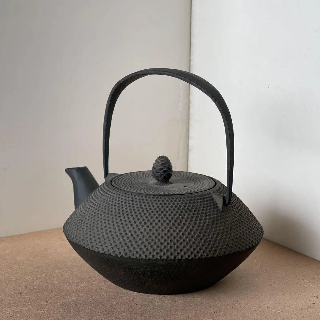 Nanbu Ironware Casting Artist Iwashimizu Hisao Iron Teapot Inner Enamel Finish
