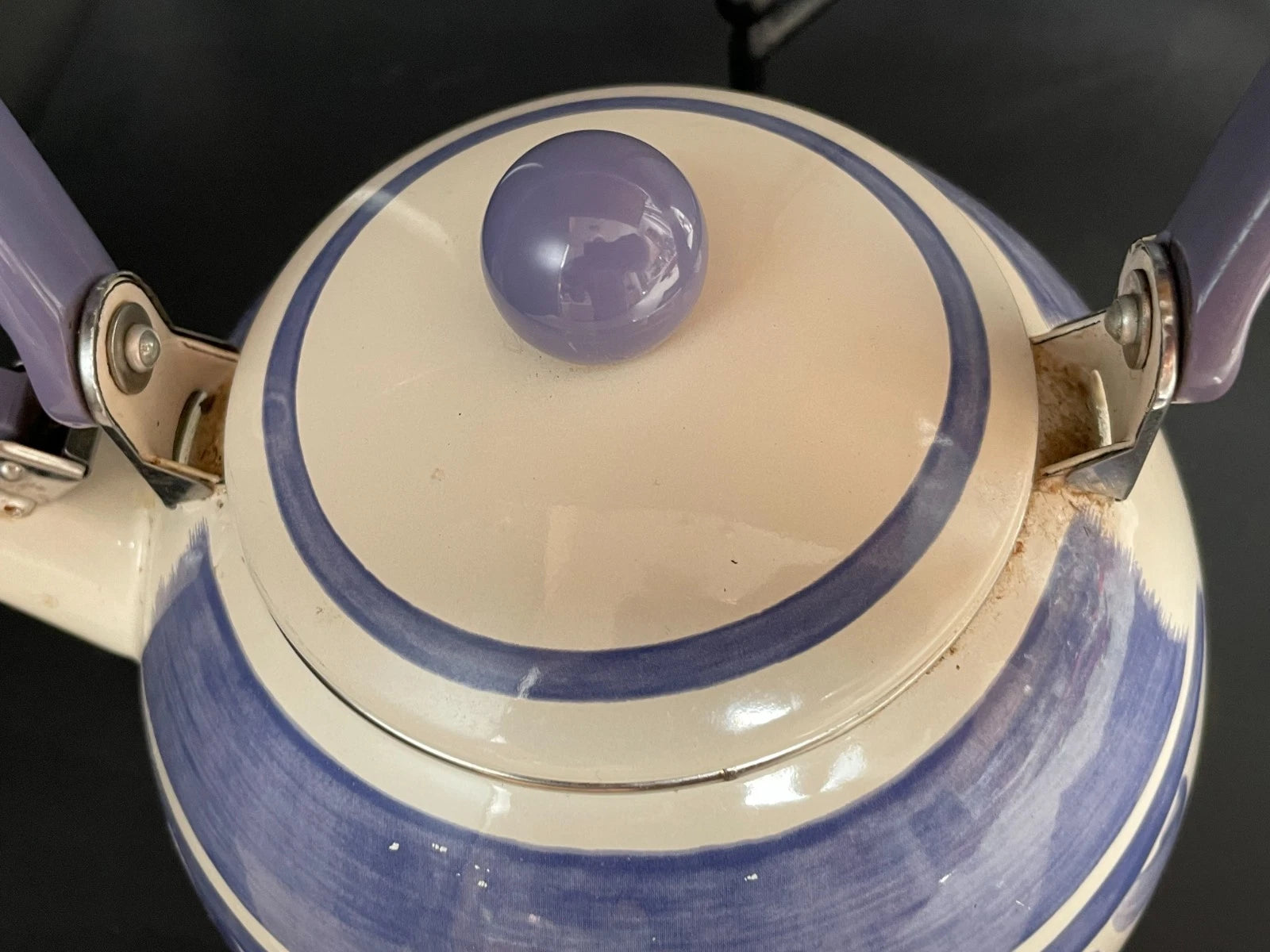 Pfaltzgraff Villa Flora Enamel Whistling Tea Kettle