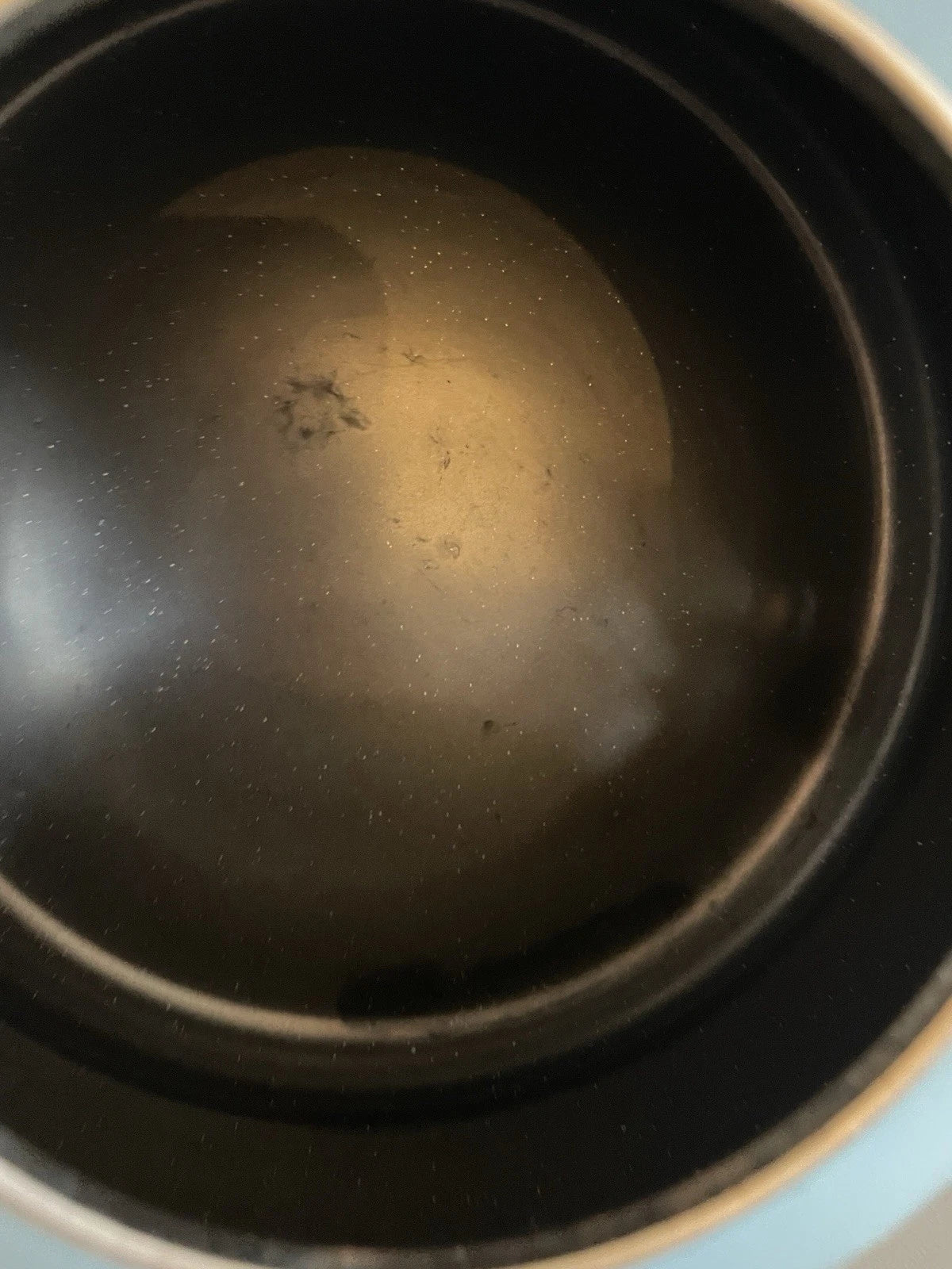 Classic Whistling Kettle By Le Creuset - Enamel on Steel 1.7 Qt - Blue Black