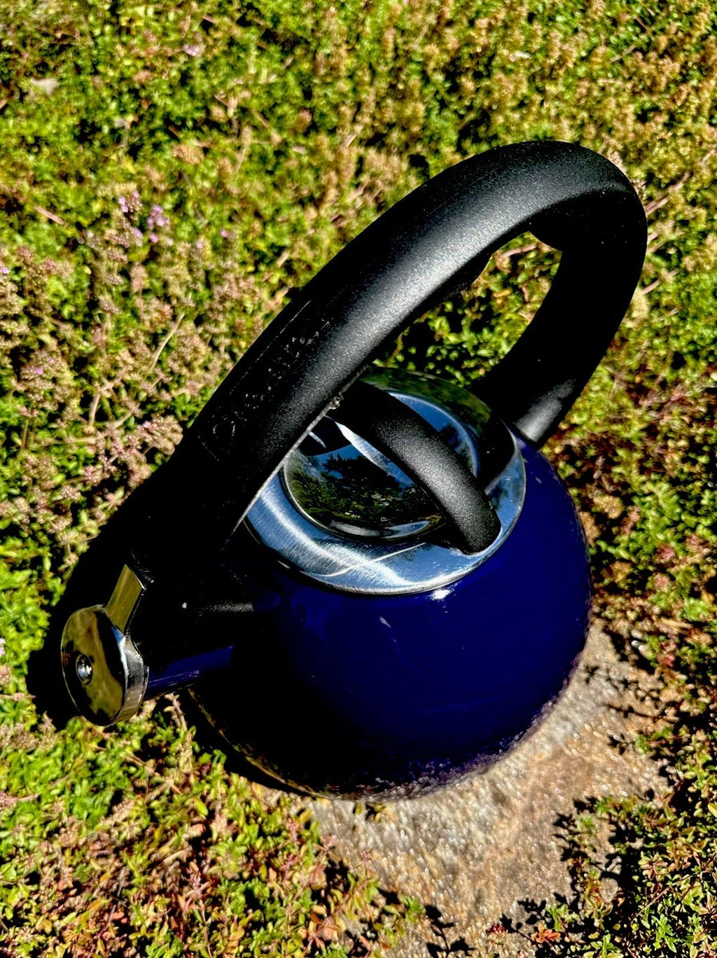 CHANTEL Cobalt Enameled  Whistling Tea Kettle 2qt Stay Cool BLK Phenolic Handle