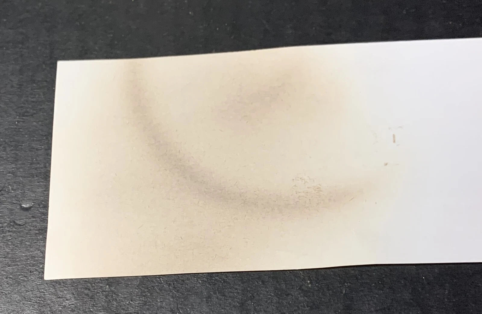 Tea Kettle Enamel Metal Prints and Textiles Flowers Jen Hewett World Market