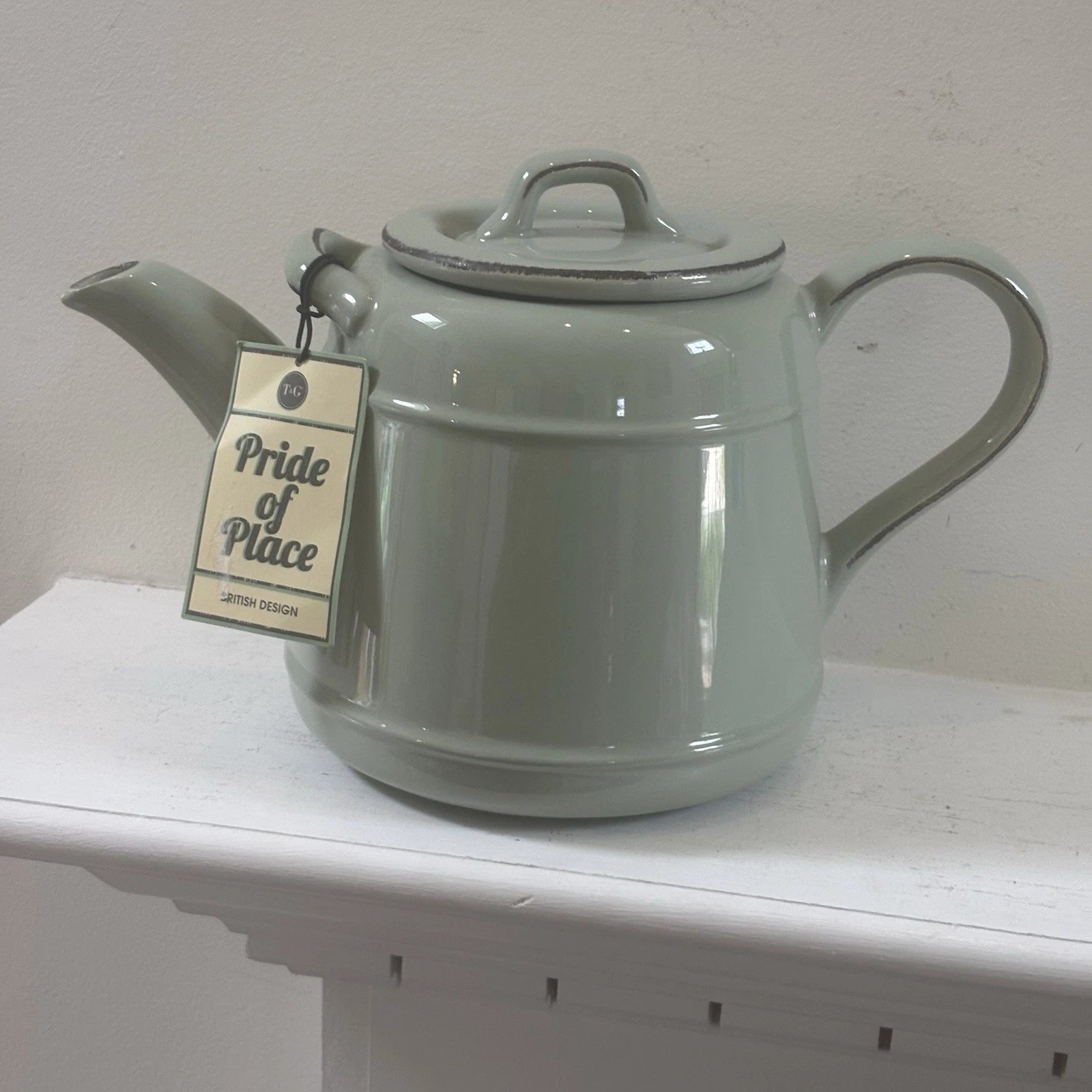 T&G Pride of Place British Design Light Green Teapot NWT