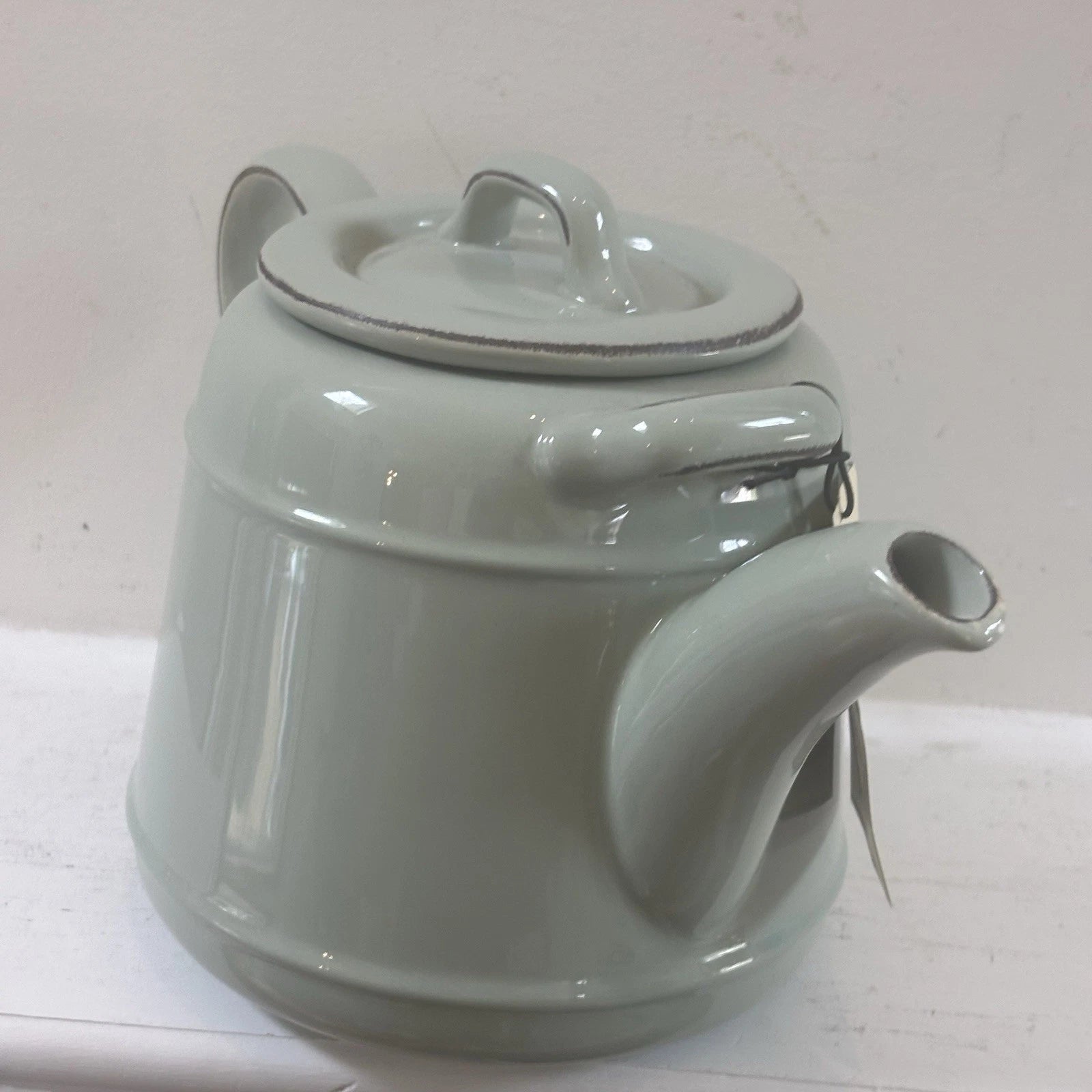 T&G Pride of Place British Design Light Green Teapot NWT