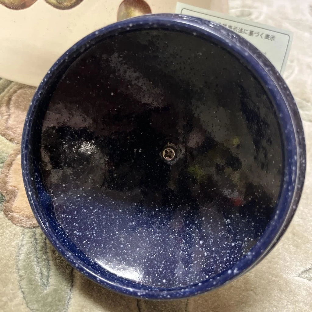 Kettle Wakapato Fruit Pattern Enamel Retro Pop Kitchen Decor