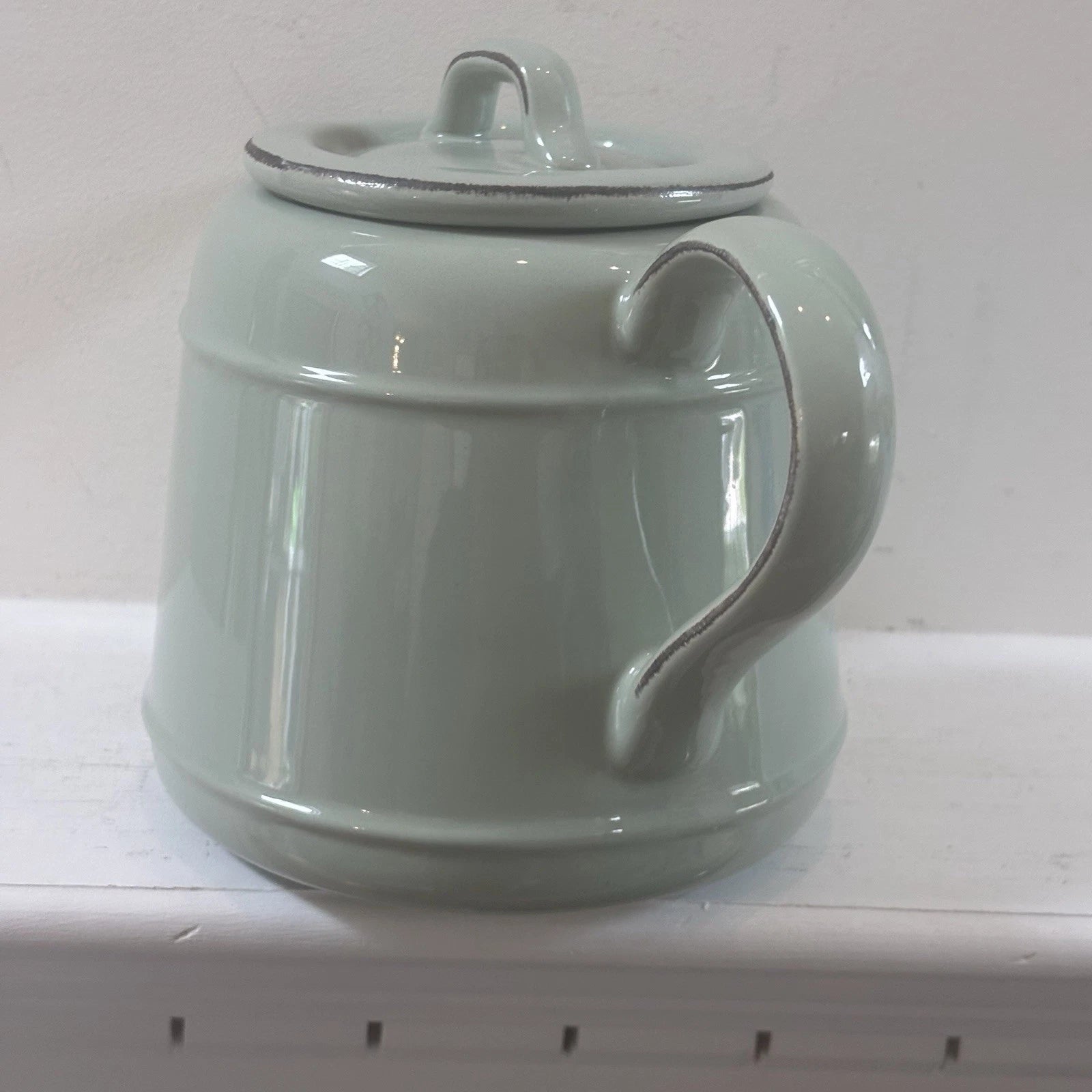 T&G Pride of Place British Design Light Green Teapot NWT