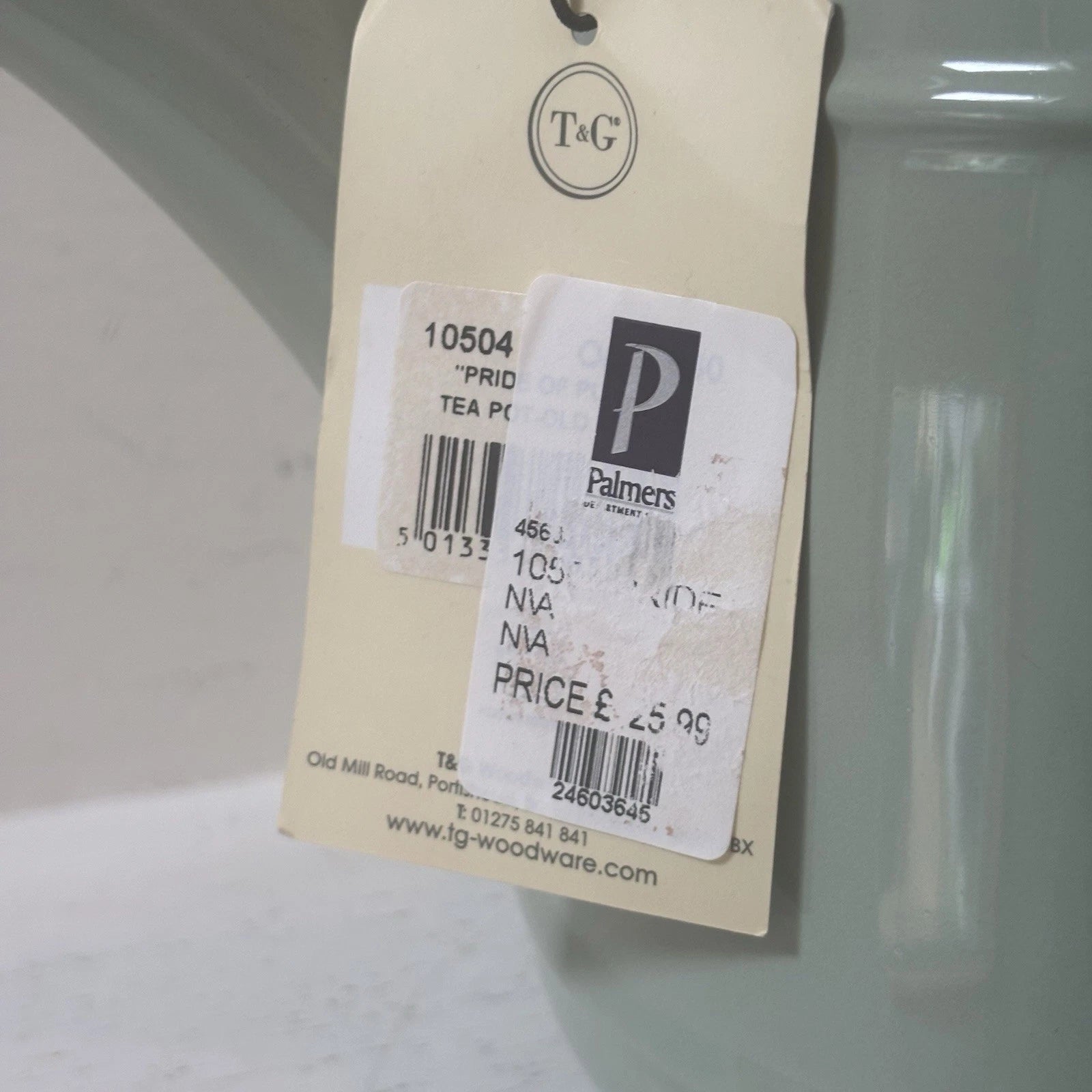 T&G Pride of Place British Design Light Green Teapot NWT