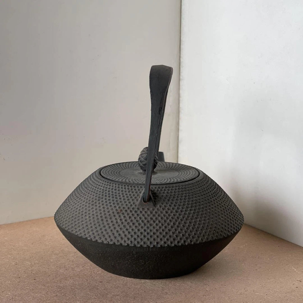 Nanbu Ironware Casting Artist Iwashimizu Hisao Iron Teapot Inner Enamel Finish