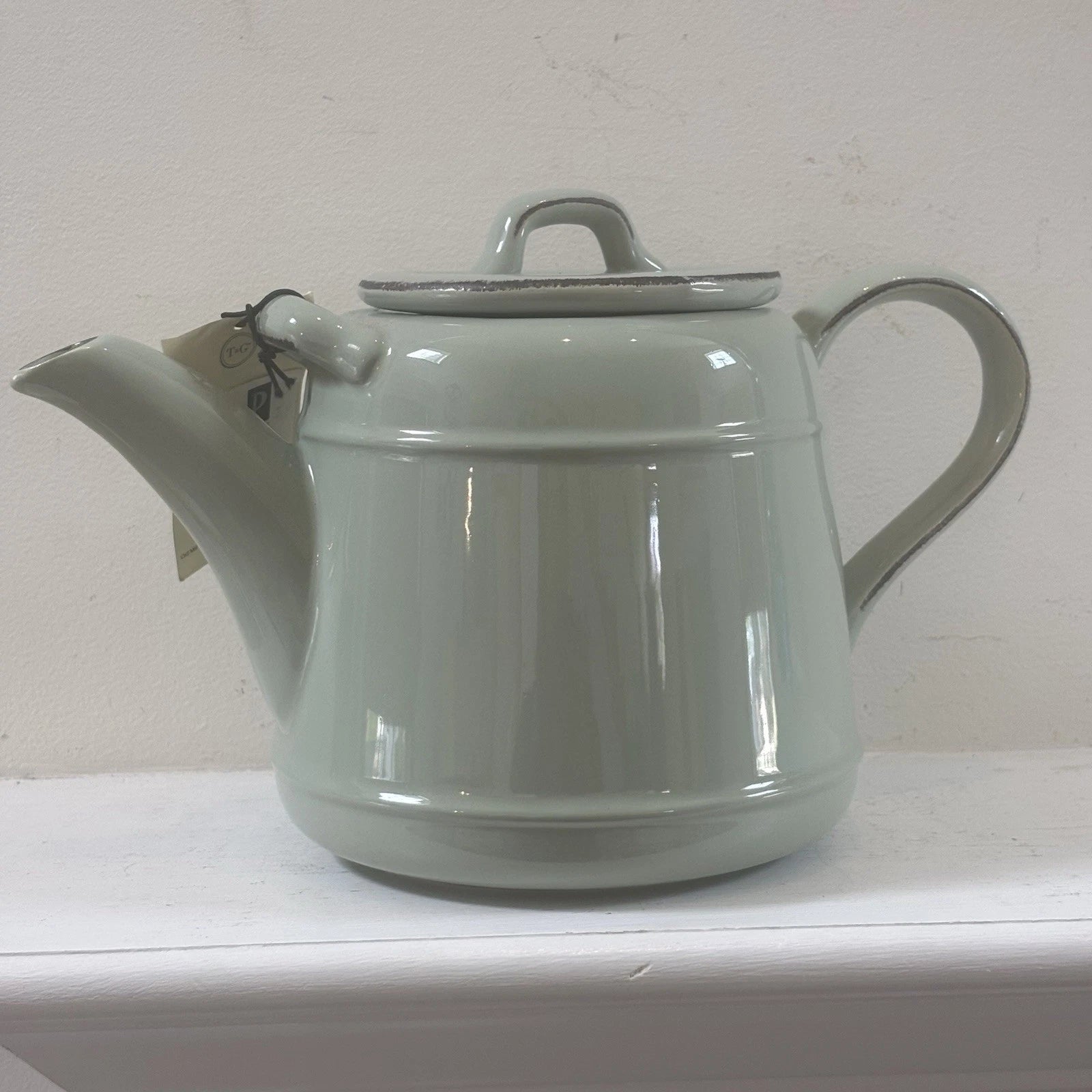 T&G Pride of Place British Design Light Green Teapot NWT