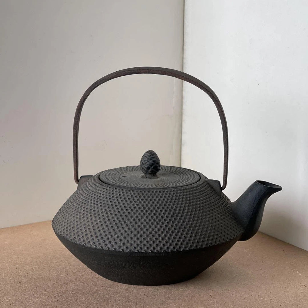 Nanbu Ironware Casting Artist Iwashimizu Hisao Iron Teapot Inner Enamel Finish