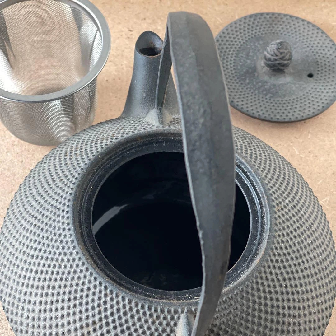 Nanbu Ironware Casting Artist Iwashimizu Hisao Iron Teapot Inner Enamel Finish