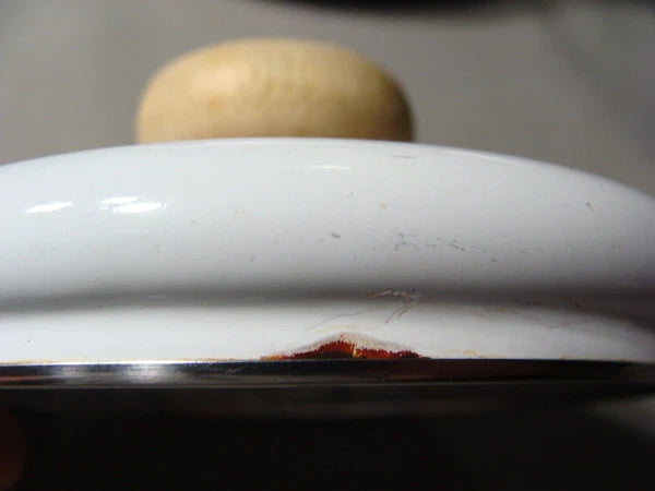 Enamel Tea Kettle In The Applejack Pattern