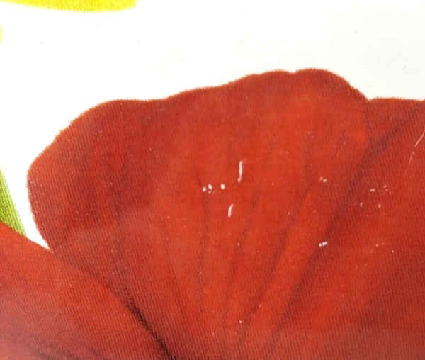 Pioneer Woman Enameled Steel Flower Garden Tea Pot Kettle Floral Retired READ!