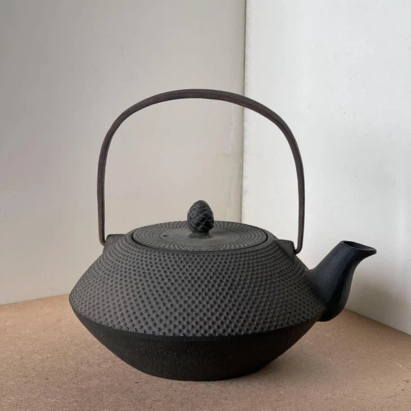 Nanbu Ironware Casting Artist Iwashimizu Hisao Iron Teapot Inner Enamel Finish