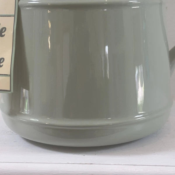 T&G Pride of Place British Design Light Green Teapot NWT
