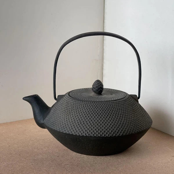 Nanbu Ironware Casting Artist Iwashimizu Hisao Iron Teapot Inner Enamel Finish