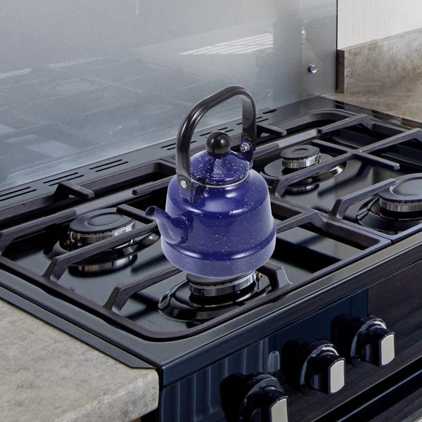 Stove Top Kettle Wood Burner Office Enameled Teapot Stovetop Unique