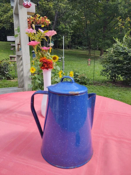 Blue Speckled Enamel Farmhouse Tea Pot
