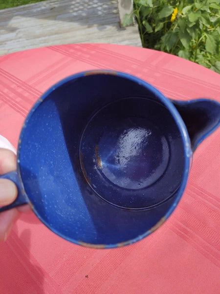 Blue Speckled Enamel Farmhouse Tea Pot