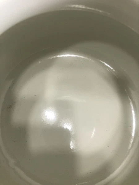 Pioneer Woman ~ Breezy Blossom ~ 1.9-Quart Tea Kettle ~ Enamel on Steel ~ Floral