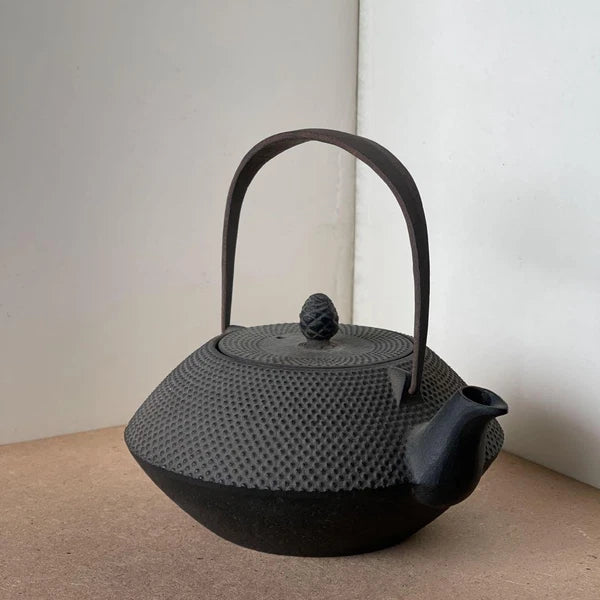 Nanbu Ironware Casting Artist Iwashimizu Hisao Iron Teapot Inner Enamel Finish
