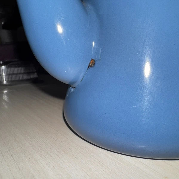 Tsuki Usagi Jirushi Slim Pot Kettle 1.2L Enamelware 8 Colors Coffee Tea Japan