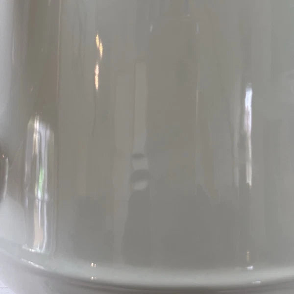 T&G Pride of Place British Design Light Green Teapot NWT