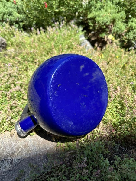CHANTEL Cobalt Enameled  Whistling Tea Kettle 2qt Stay Cool BLK Phenolic Handle