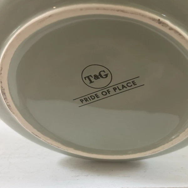 T&G Pride of Place British Design Light Green Teapot NWT