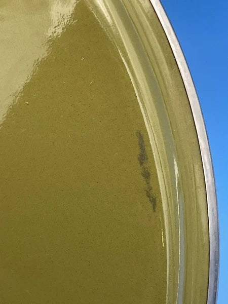 Vintage Enamel Pots and Lids Lemon Orange Leaves Austria Email MCM Set of 2