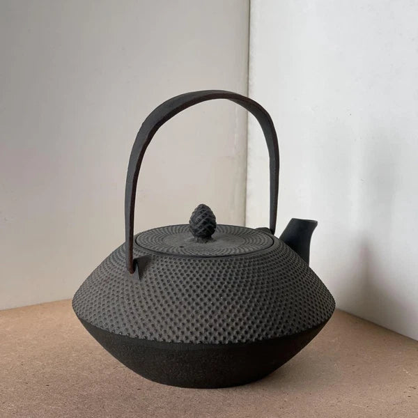 Nanbu Ironware Casting Artist Iwashimizu Hisao Iron Teapot Inner Enamel Finish